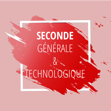 seconde-generale-et-technologique-lycee-henri-brisson.jpg
